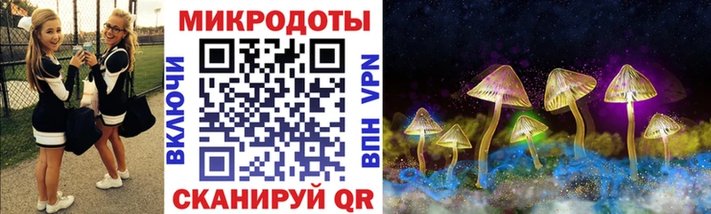 Псилоцибиновые грибы GOLDEN TEACHER Новоржев